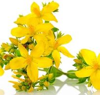 St. John's wort to stimulate power