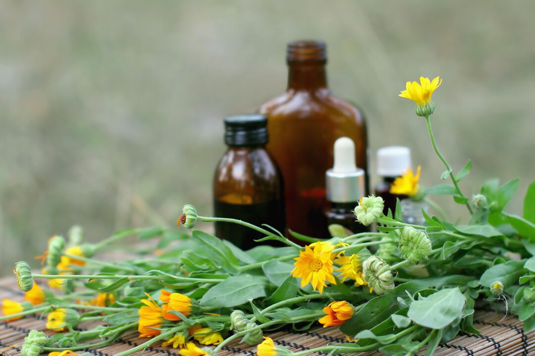 Elecampane - a popular drug for sexual arousal with reduced potency