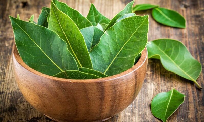 leaf